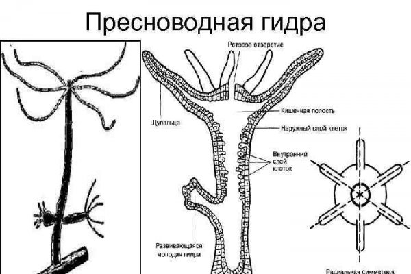 Кракен 16 вход