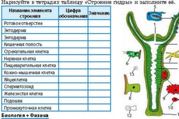 Кракен почему пользователь не найден